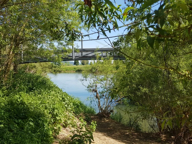 4b_nethemuendung_hx3_stephanberg Flussmündung mit grünen Bäumen im Vordergrund und einer Eisenbahnbrücke bei klarem Himmel.