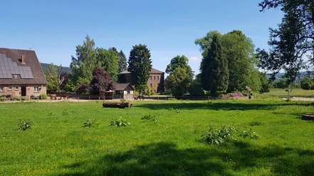 Gutshaus umgeben von Bäumen und Wiesen