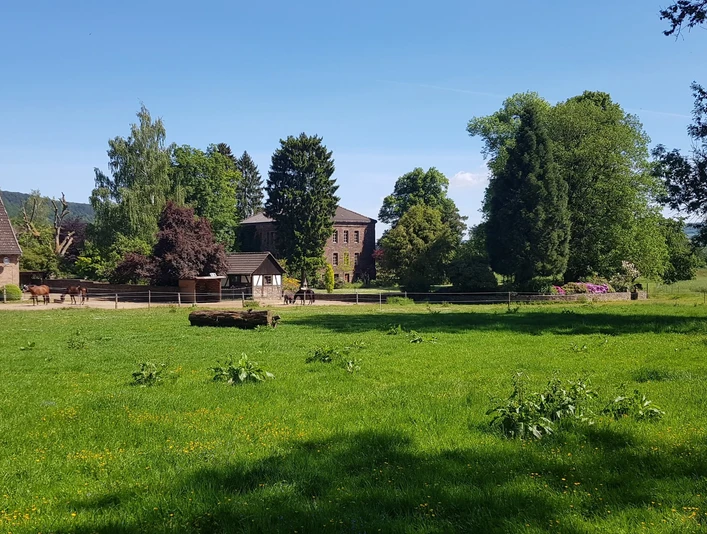 Gutshaus umgeben von Bäumen und Wiesen