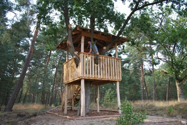 plattform-im-baum-naherholungsgebiet-lohner-sand