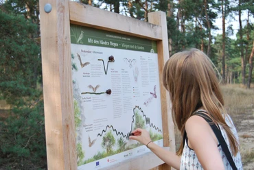 naturerlebnispfad-lohner-sand-person-vor-infotafel