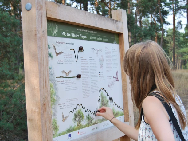 naturerlebnispfad-lohner-sand-person-vor-infotafel
