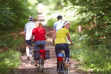 radfahrer-im-wald-bei-bad-bentheim