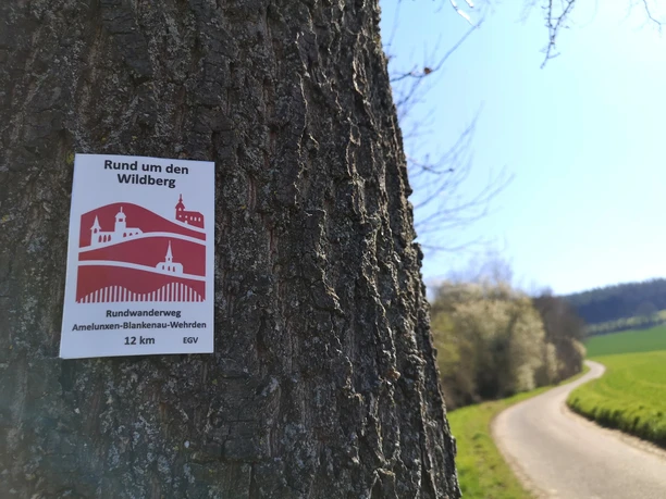 Wanderweg rund um den Wildberg, markiert auf Baumstamm vor blühenden Bäumen und geschwungenem Pfad.