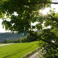 Sonnenlicht filtert durch Äste eines Baumes, beleuchtet eine grüne Wiese und das Dorf im Tal.