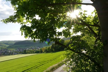 Hudeweg Sonnenlicht filtert durch Äste eines Baumes, beleuchtet eine grüne Wiese und das Dorf im Tal.