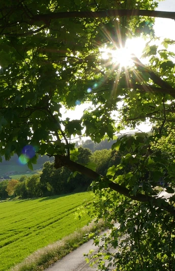 Hudeweg Sonnenlicht filtert durch Äste eines Baumes, beleuchtet eine grüne Wiese und das Dorf im Tal.