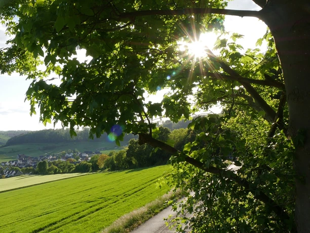 Hudeweg Sonnenlicht filtert durch Äste eines Baumes, beleuchtet eine grüne Wiese und das Dorf im Tal.