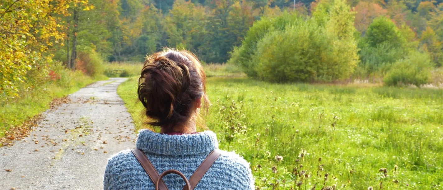 Wandern in Ankum A person with a rucksack looks out over an autumnal forest path and a green, wooded landscape.