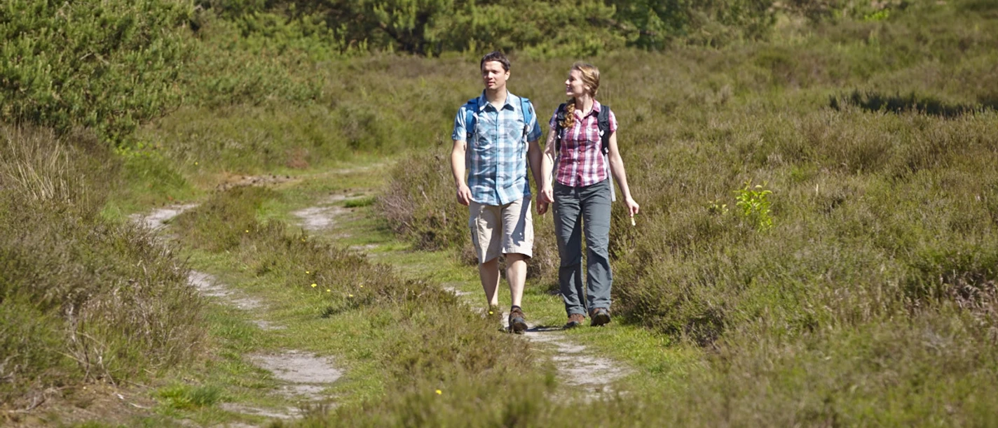 Grafschafter Spurensuche