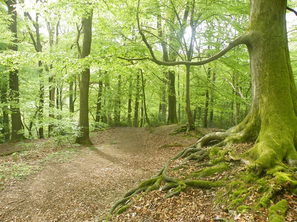 Rundwanderwege