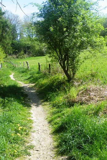 Rundwanderweg Kohlfurth Rundwanderweg Kohlfurth