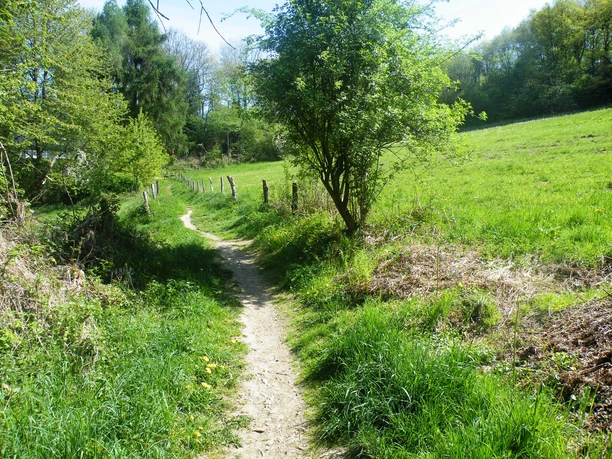 Rundwanderweg Kohlfurth Rundwanderweg Kohlfurth