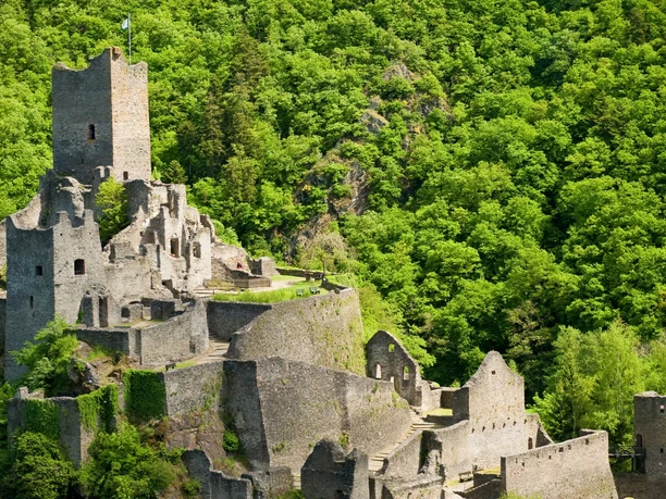 Manderscheider Burgen am Lieserpfad