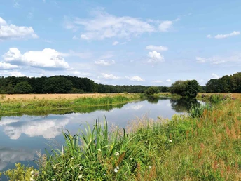 Allerniederung auf dem Wanderweg C1 Allerniederung auf dem Wanderweg C1Aller lowland behind the Osterloh weir