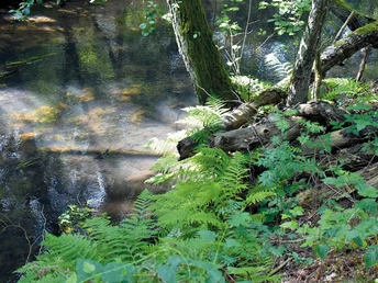 Osterbruchkanal auf dem Wanderweg C1 Osterbruchkanal auf dem Wanderweg C1Osterbruch canal on the hiking trail C1