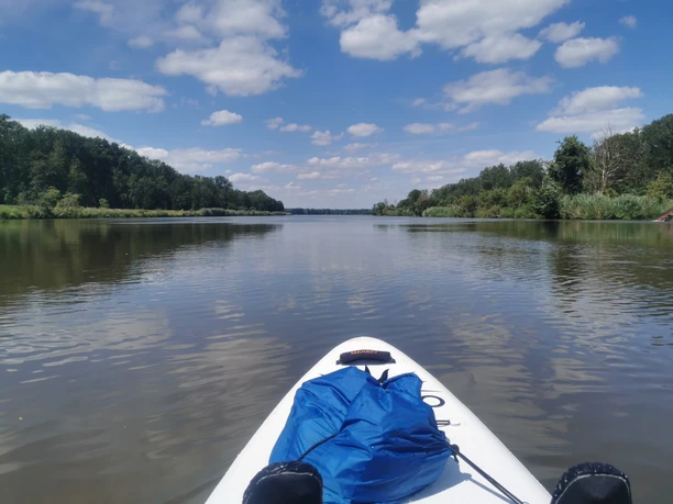 Bootswanderung auf der Donau.