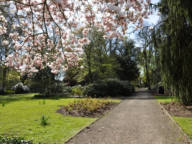Botanischer Garten Minden Blühende Bäume im Botanischen Garten Minden säumen einen gepflegten Kiesweg, umgeben von grüner Natur.