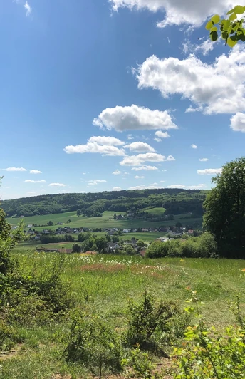 Wanderweg bietet weiten Blick über grüne Hügel und Dörfer, eingerahmt von Bäumen und blauen Himmel.