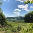 A3 Wanderweg - Holzhauser Berg Wanderweg bietet weiten Blick über grüne Hügel und Dörfer, eingerahmt von Bäumen und blauen Himmel.