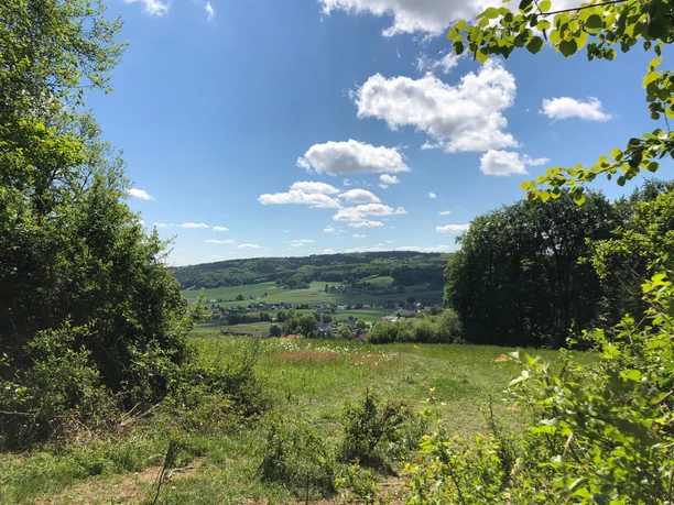 A3 Wanderweg - Holzhauser Berg Wanderweg bietet weiten Blick über grüne Hügel und Dörfer, eingerahmt von Bäumen und blauen Himmel.