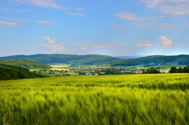 A5 - Wanderweg Börninghausen Grüne Felder und sanfte Hügel unter blauem Himmel im Naturpark Wiehengebirge, Börninghausen.