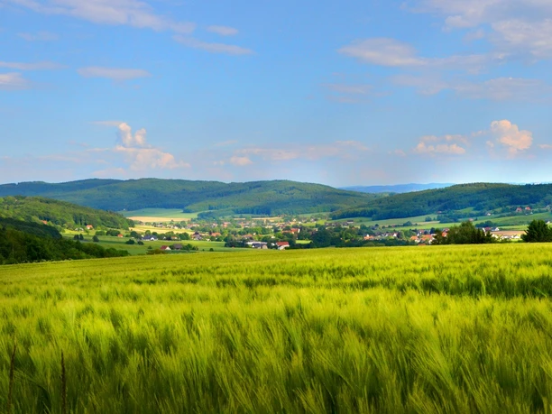 A5 - Wanderweg Börninghausen Grüne Felder und sanfte Hügel unter blauem Himmel im Naturpark Wiehengebirge, Börninghausen.