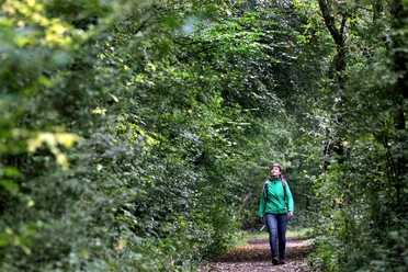 A7 - Wanderweg Bad Holzhausen Person wandert in grüner Jacke auf einem schmalen Waldweg, umgeben von dichtem Laub.