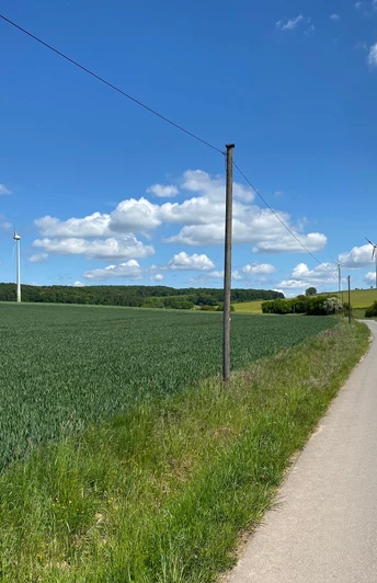 Ländliche Straße neben einem weiten Feld mit Windkraftanlagen unter blauem Himmel und Wolken.