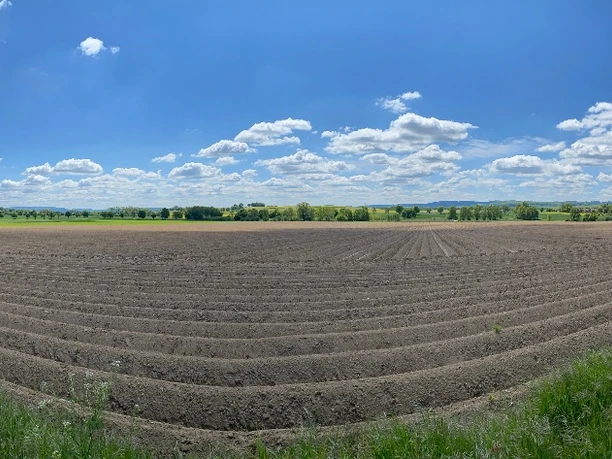 Weitläufiges Ackerfeld mit frisch gepflügten Reihen unter strahlend blauem Himmel und weißen Wolken.