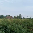 Weites Feld mit hohem Gras vor einer Backsteinfarm und Bäumen unter bewölktem Himmel.