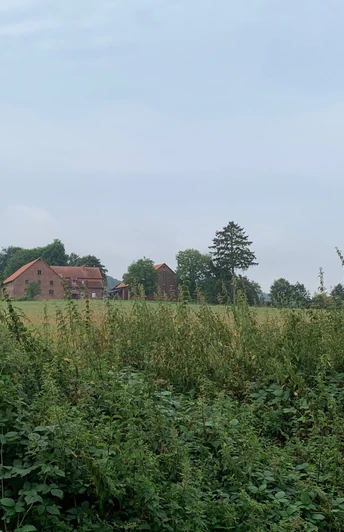 Weites Feld mit hohem Gras vor einer Backsteinfarm und Bäumen unter bewölktem Himmel.