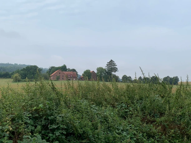 Weites Feld mit hohem Gras vor einer Backsteinfarm und Bäumen unter bewölktem Himmel.