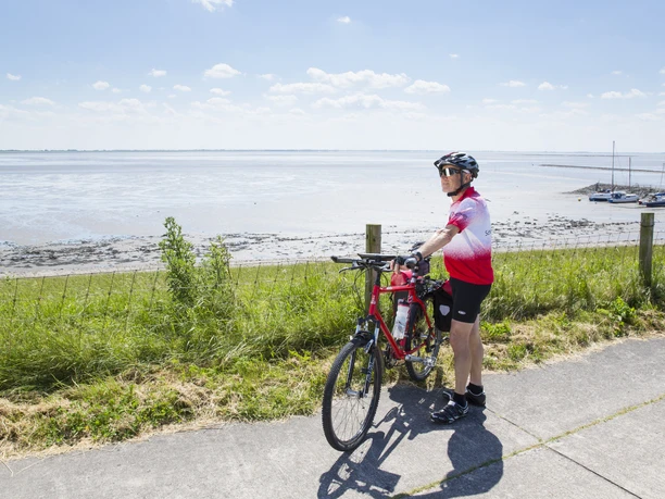 fahrrad-fahren-am-eckwardersiel-3
