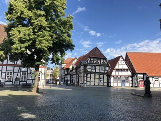 Historische Fachwerkhäuser umrahmen einen gepflasterten Platz mit einem Baum in Nienburg bei Sonnenschein.