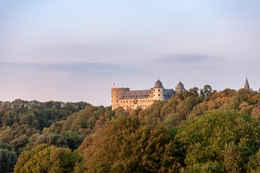 b-ren-wewelsburg-9-teutoburger-wald-tourismus-m-schoberer Die Wewelsburg erhebt sich majestätisch über bewaldete Hügel im Licht der Abendsonne.