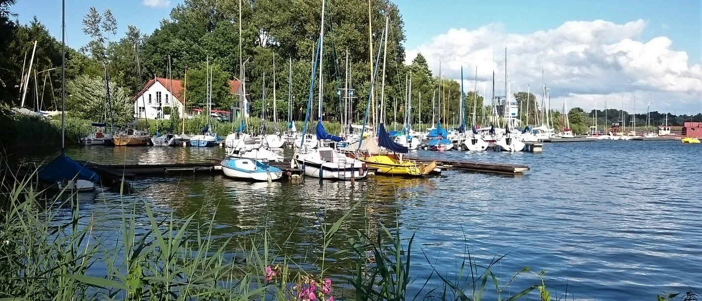 Segelboote liegen an einem ruhigen, von Bäumen umsäumten Steg am Ufer eines Sees, Blumen im Vordergrund.