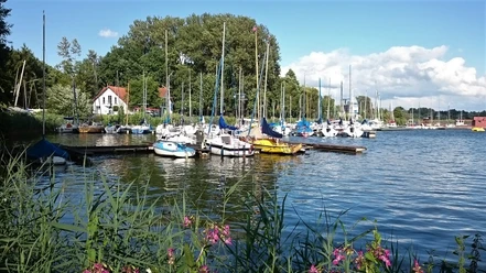 Lippesee Segelboote liegen an einem ruhigen, von Bäumen umsäumten Steg am Ufer eines Sees, Blumen im Vordergrund.