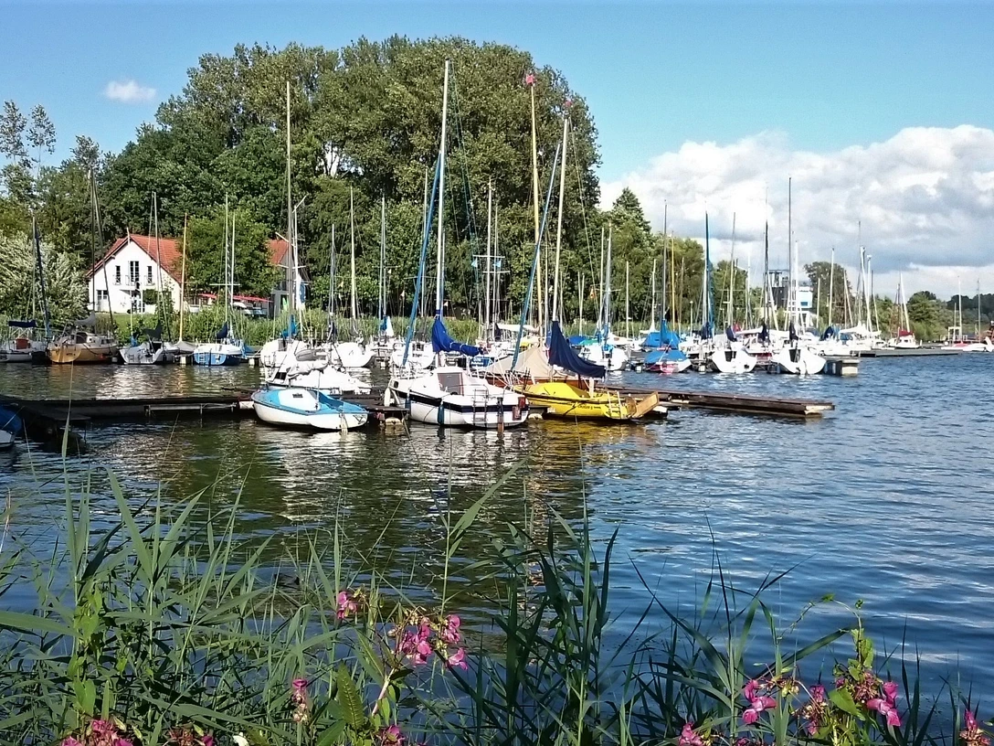 Lippesee Segelboote liegen an einem ruhigen, von Bäumen umsäumten Steg am Ufer eines Sees, Blumen im Vordergrund.