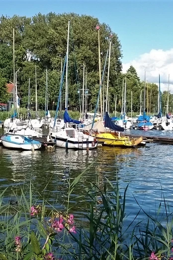 Lippesee Segelboote liegen an einem ruhigen, von Bäumen umsäumten Steg am Ufer eines Sees, Blumen im Vordergrund.