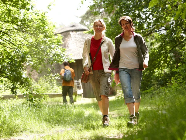 ems_glo_4748mini Zwei Wanderinnen gehen entspannt auf einem sonnigen Waldweg, im Hintergrund ein Wanderer.