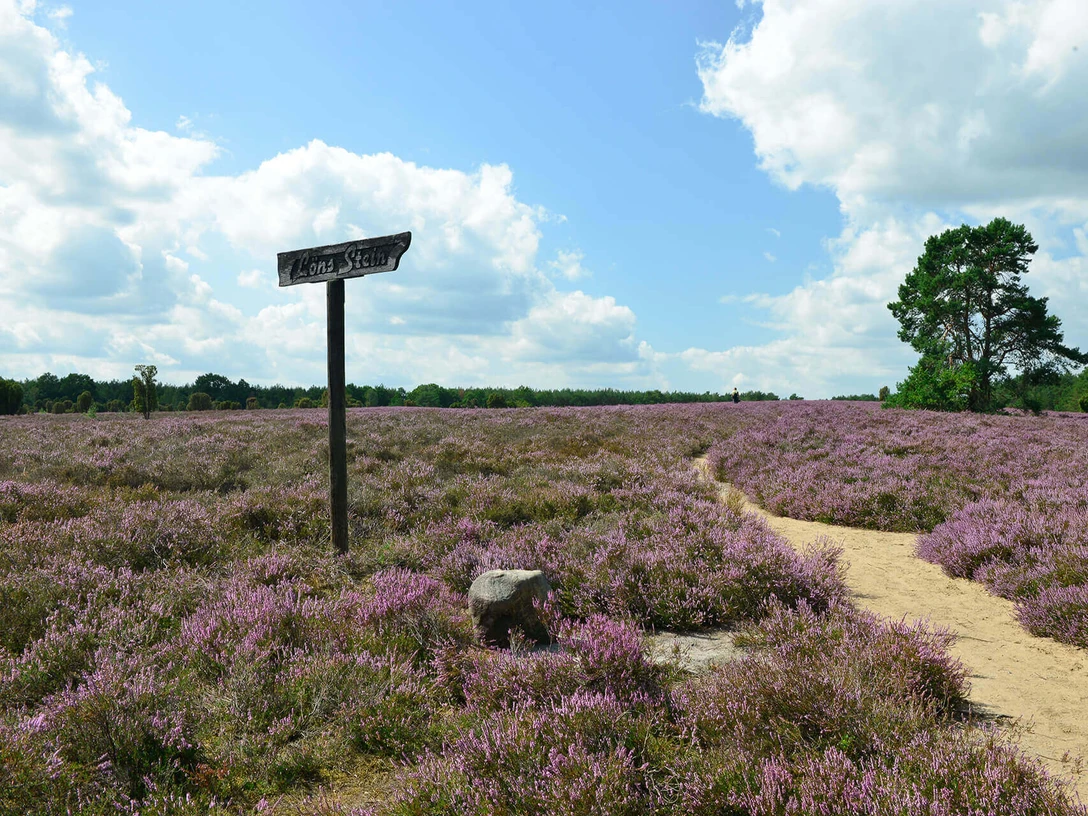 Heiliger Hain Hinweisschild Löns-Stein im Heiligen Hain bei Wahrenholz