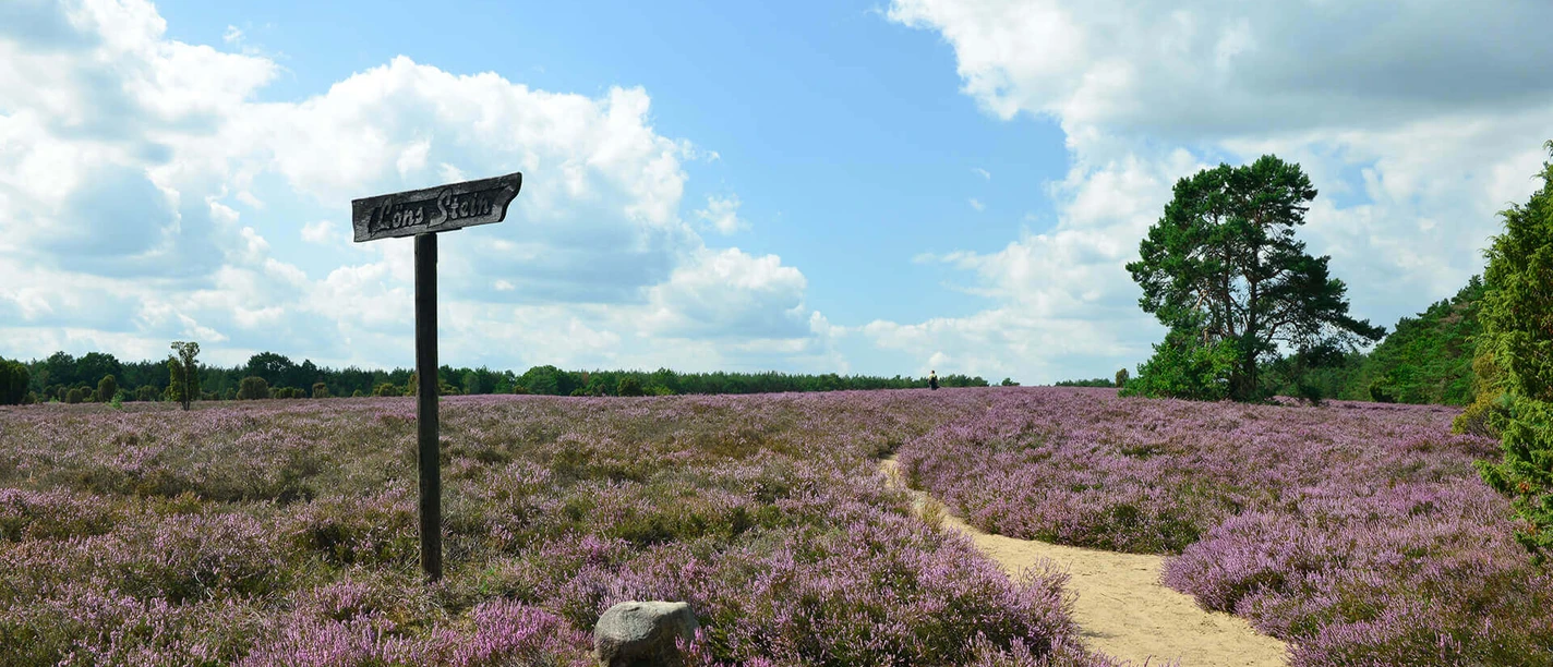 Heiliger Hain Löns stenskilt i den hellige lund nær Wahrenholz