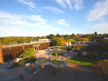 Erlebnisgradierwerk in Bad Salzuflen Erlebnisgradierwerk in Bad Salzuflen, umgeben von Bäumen und gepflegten Gärten an einem sonnigen Tag.