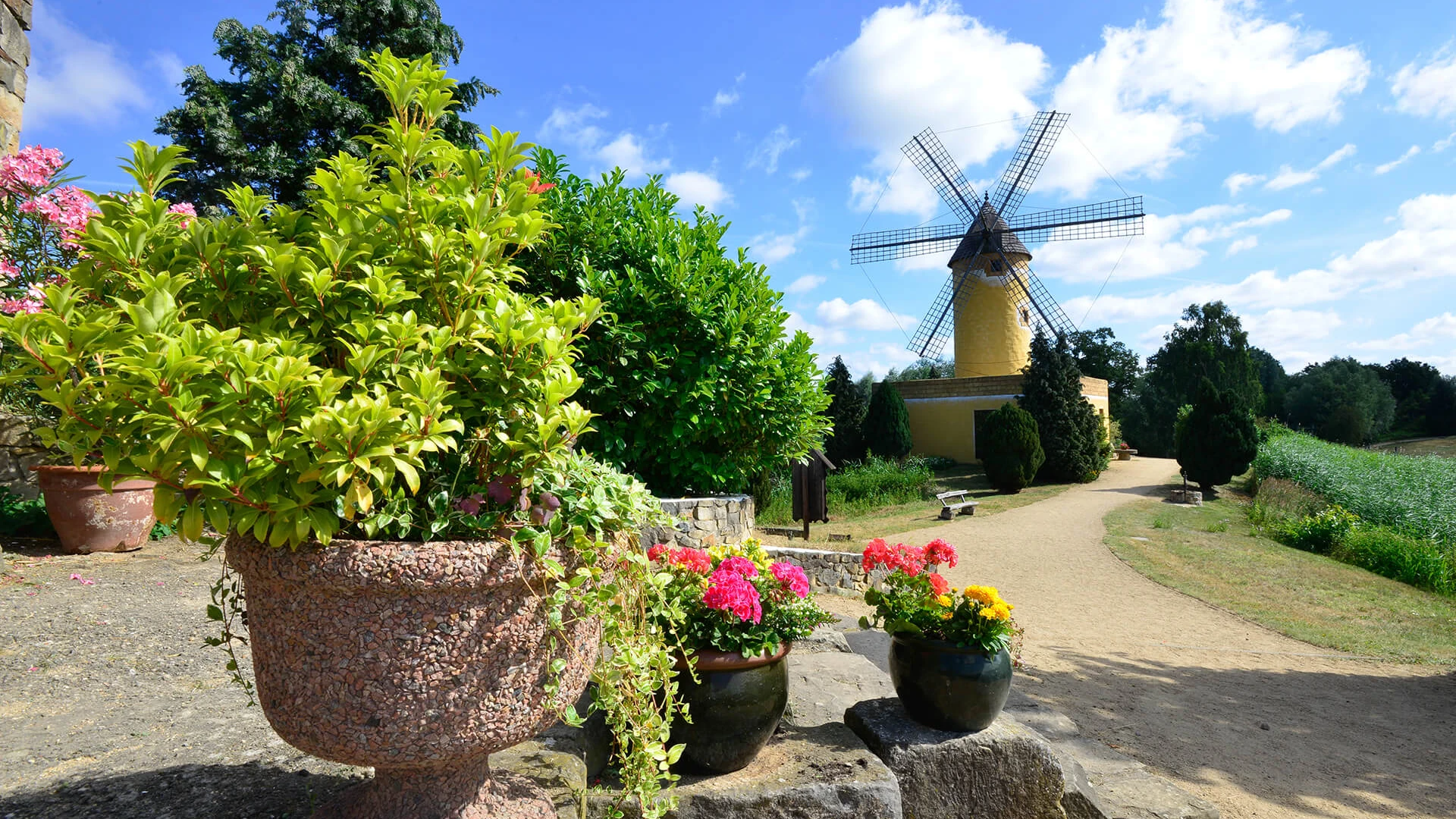 Mühle von Mallorca im Internationalen Mühlenmuseum Gifhorn