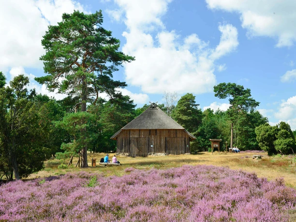 Schafstall am Heiligen Hain Schafstall am Heiligen Hain bei Wahrenholz