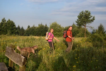 Wanderer mit Wanderstöcken und Hund auf blühender Wiese, umgeben von sommerlichen Bäumen.