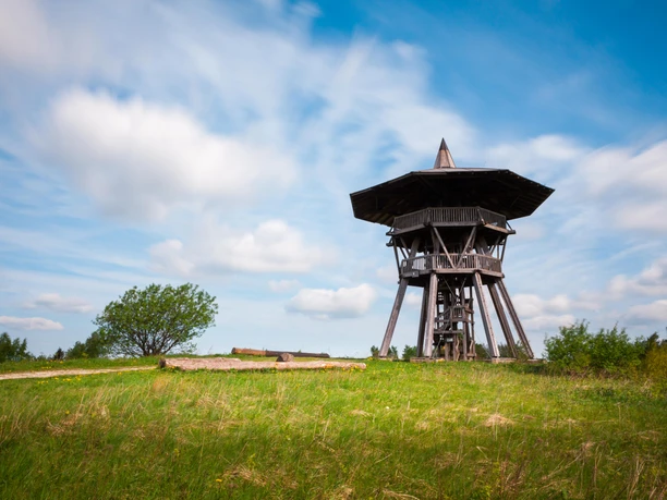 Ein hölzerner Aussichtsturm mit einem markanten Dach steht auf einer grünen, offenen Wiese.