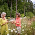 Die Natur bewusst wahrnehmen Zwei Frauen stehen inmitten blühender Wiesen, umgeben von hohen Bäumen, tief im Gespräch vertieft.