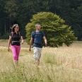 Zwei Personen wandern auf einem Weg durch ein Feld, von Wäldern im Hintergrund umgeben.